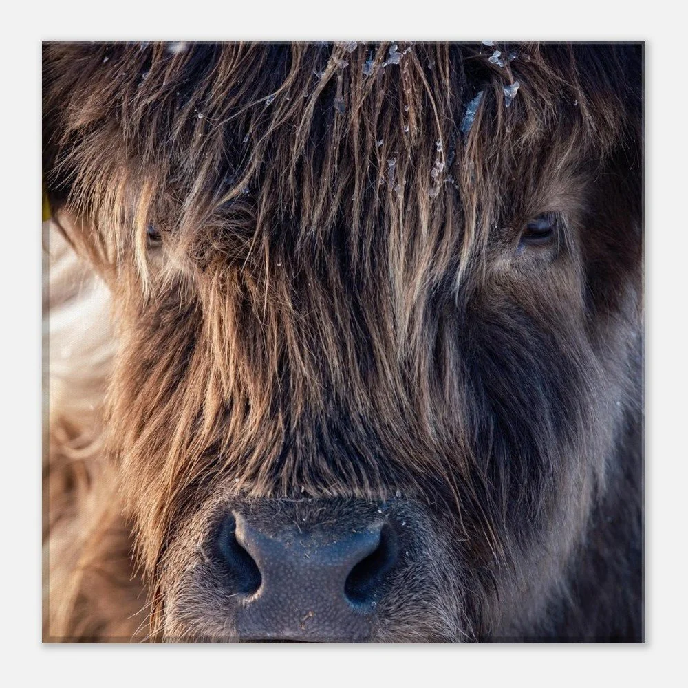 tmp-151-K5qR2rFX4EOh