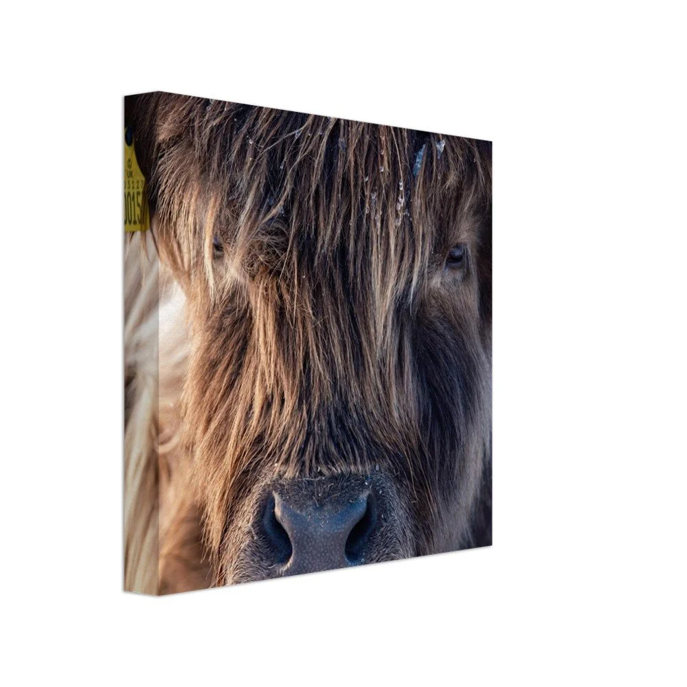 tmp-151-X1kTxeEgonbW