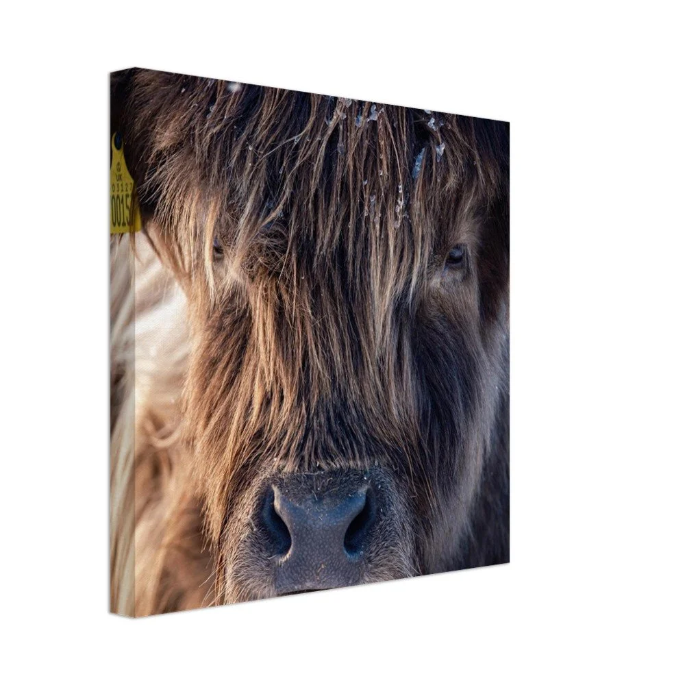 tmp-151-sLFv7U0lZRfw