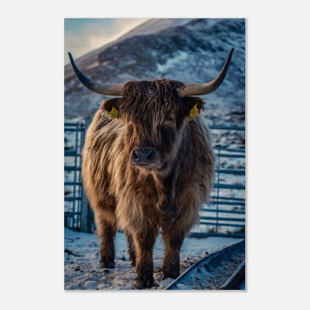 tmp-151-0QppYRU70ShI