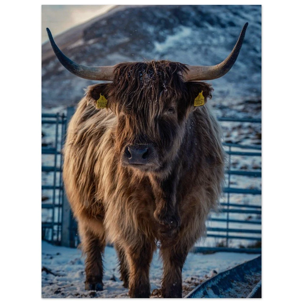 tmp-151-f7K0p8gE09qy