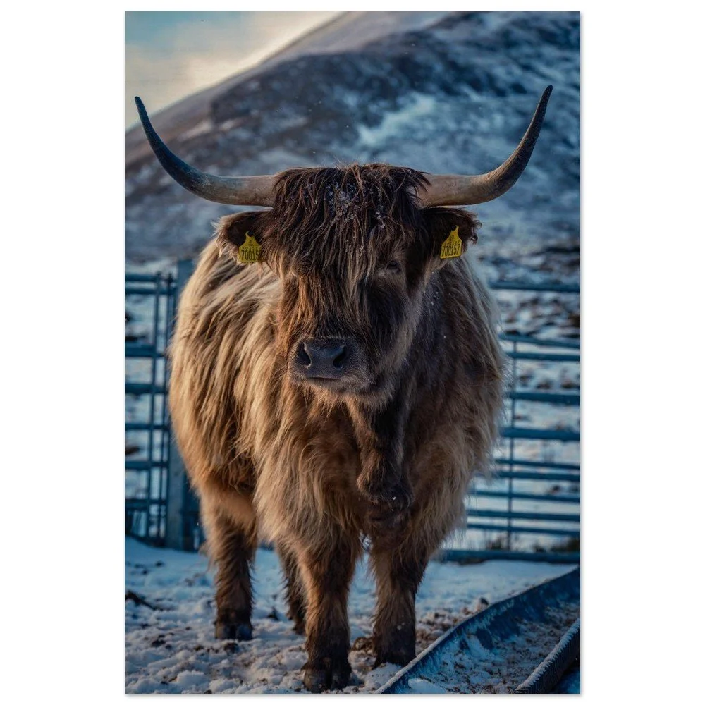 tmp-151-3TxMV0iEvuAk