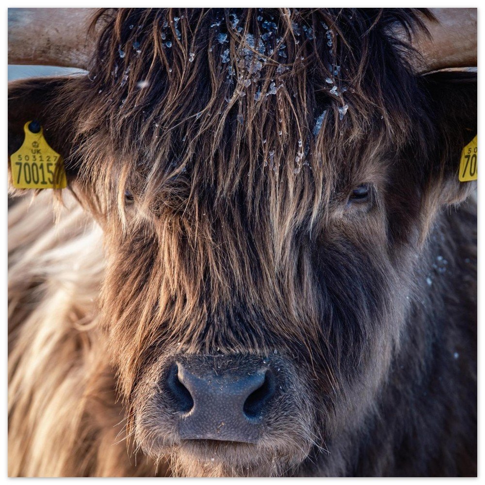 tmp-154-eAgphAXHdXq6