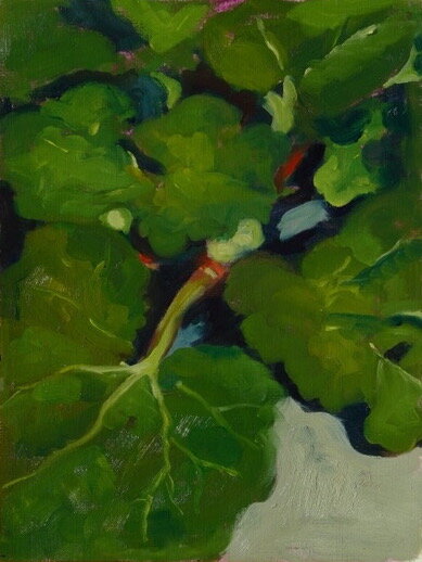 Rhubarb 16" x 12"