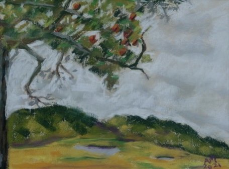 Apple Tree on the Marsh, Truro 9" x 12" (Copy)
