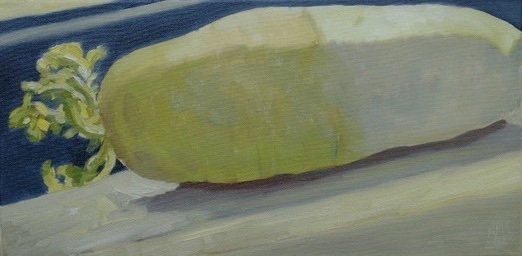 Daikon 10" x 20"