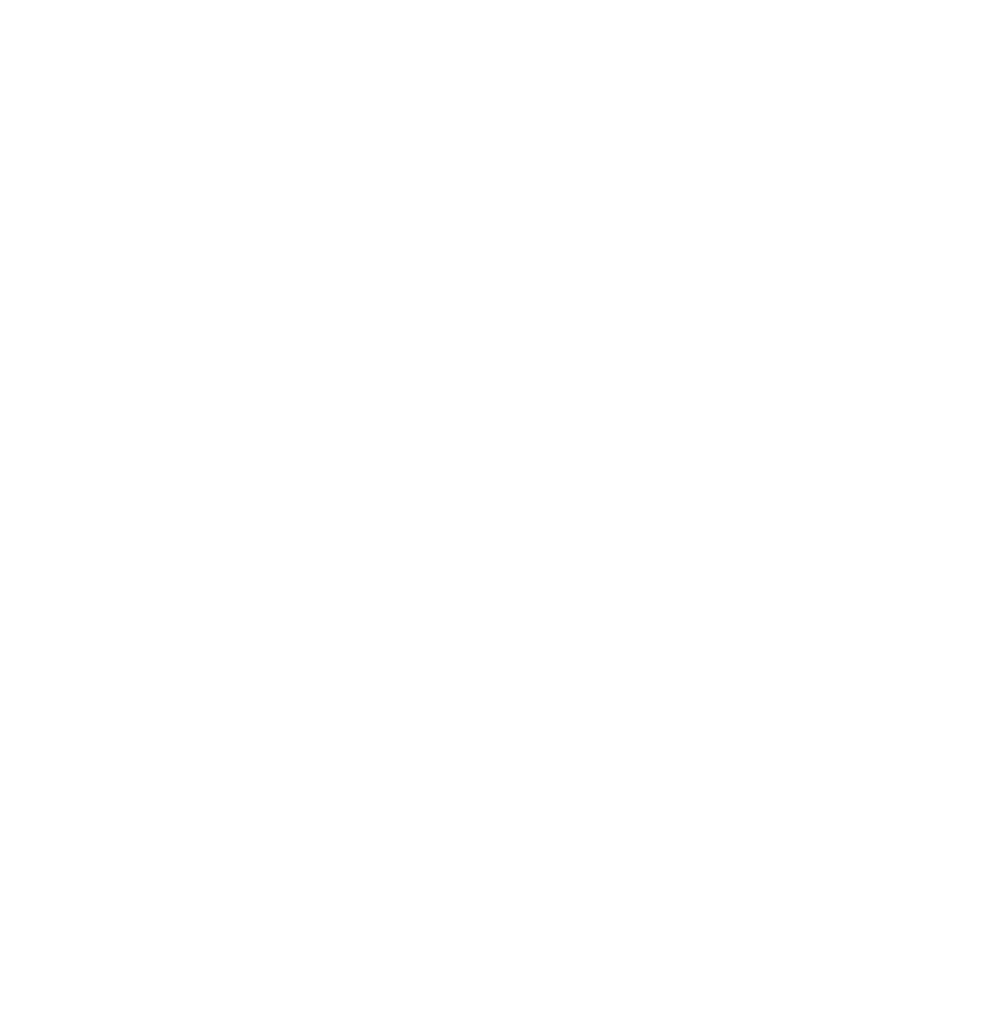 SOI DOGS MMA &amp; FITNESS