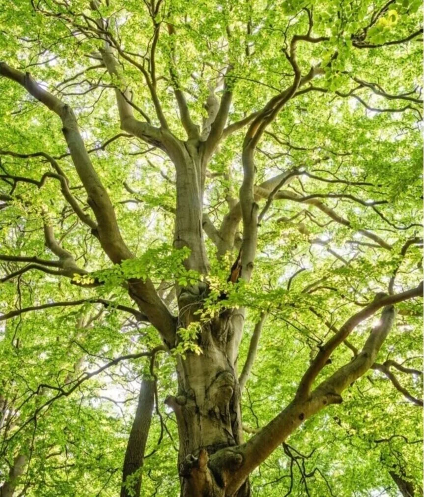 Utilities Customer Support City Of Hamilton Oh