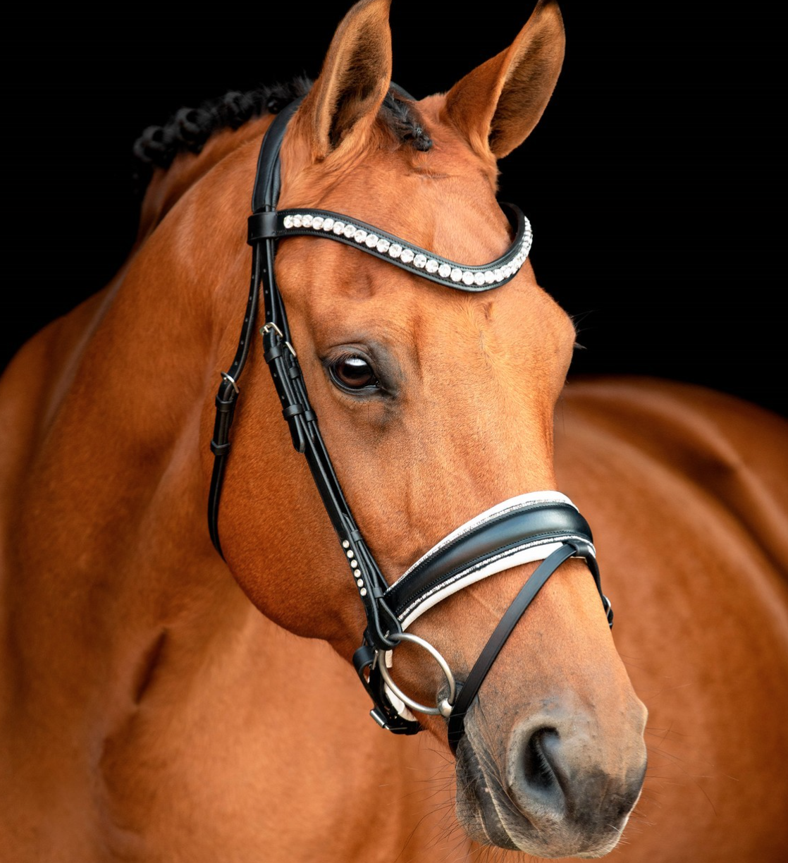 Capture d’écran 2026-03-01 à 22.51.07.png