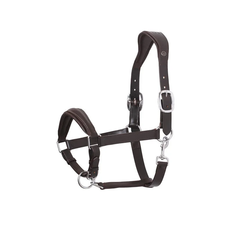 Licol en cuir anatomic SD Design