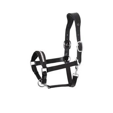 Licol en cuir SD Design