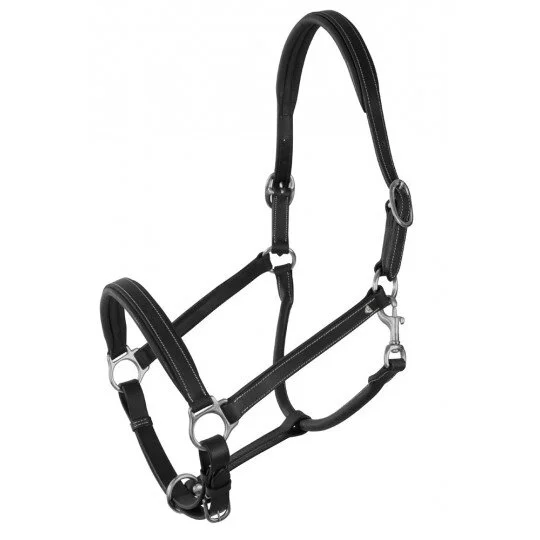 Licol en cuir Platin Pool Pfiff