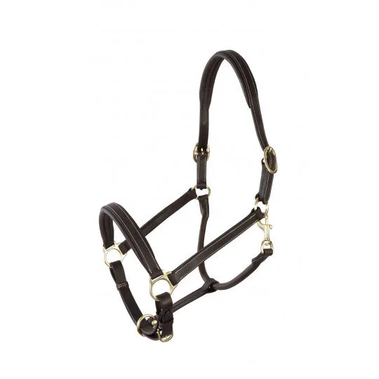 Licol en cuir PFIFF Platin Dundee