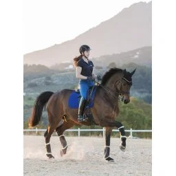 Tapis De Selle Dressage LeMieux Benetton Bleu - Taille L - Occasion