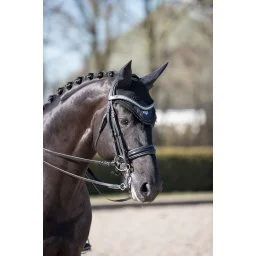 Loire Satin Fly Hood Black