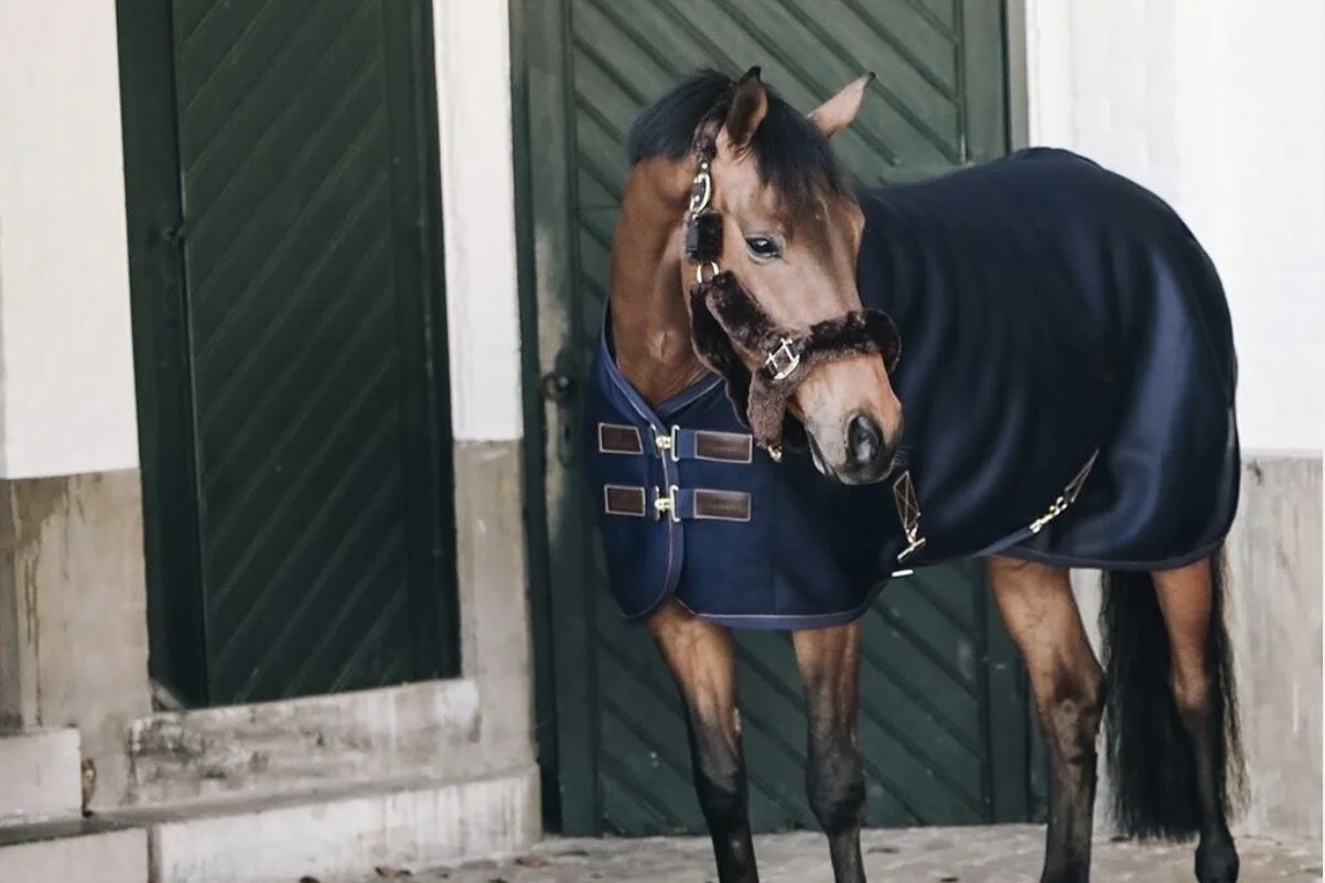 L'arrivée de la marque Kentucky dans l'univers Dresscode !