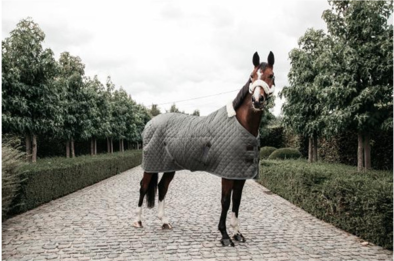Couverture d'écurie Equithème Teddy doublée mouton synthétique 0g