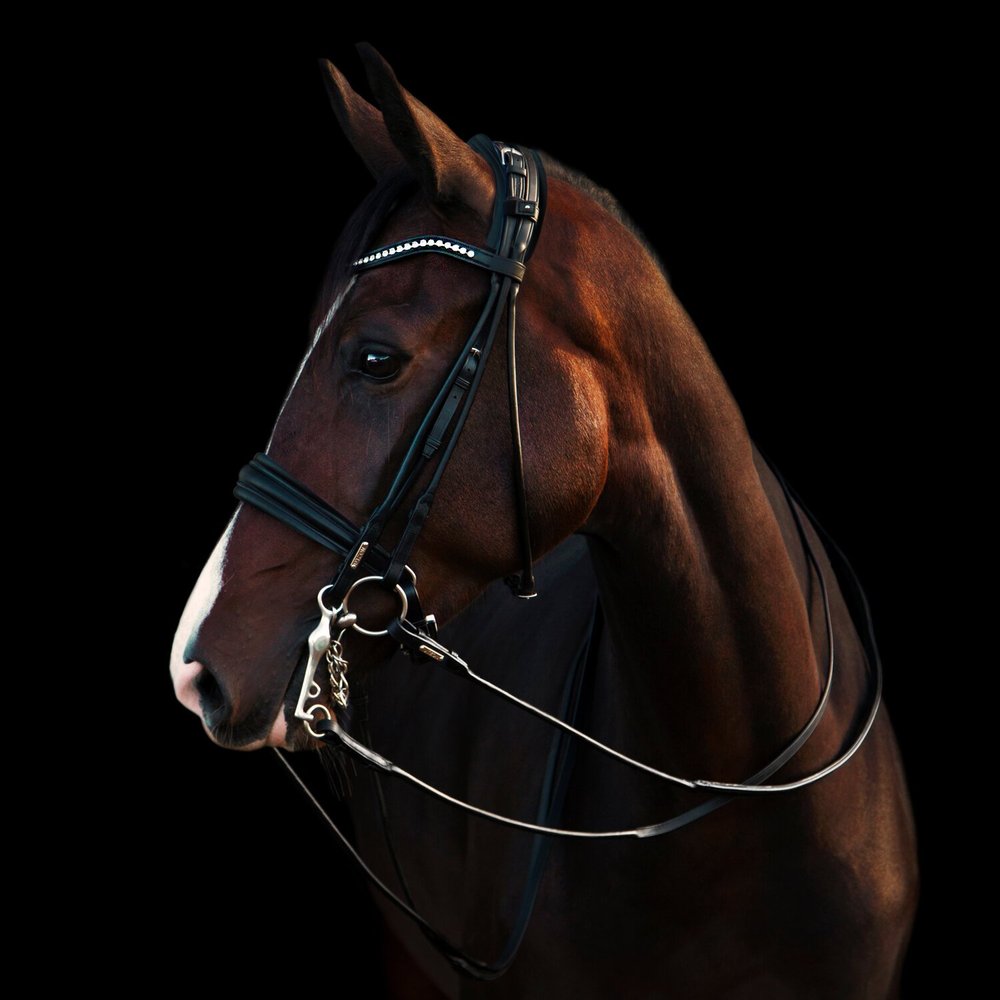 Pied A Coulisse Numerique Bride De Dressage Rembourrée