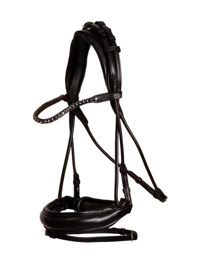 Capture d’écran 2026-03-01 à 23.39.15.png