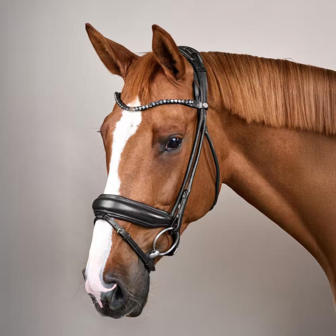 Capture d’écran 2026-03-01 à 23.39.23.png