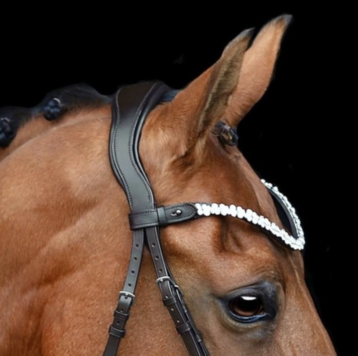 Capture d’écran 2026-03-01 à 23.19.29.png