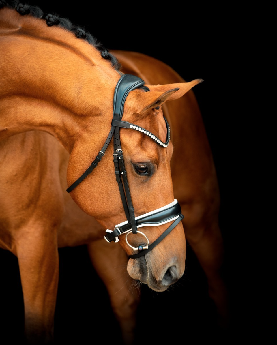 Capture d’écran 2026-03-01 à 22.59.15.png