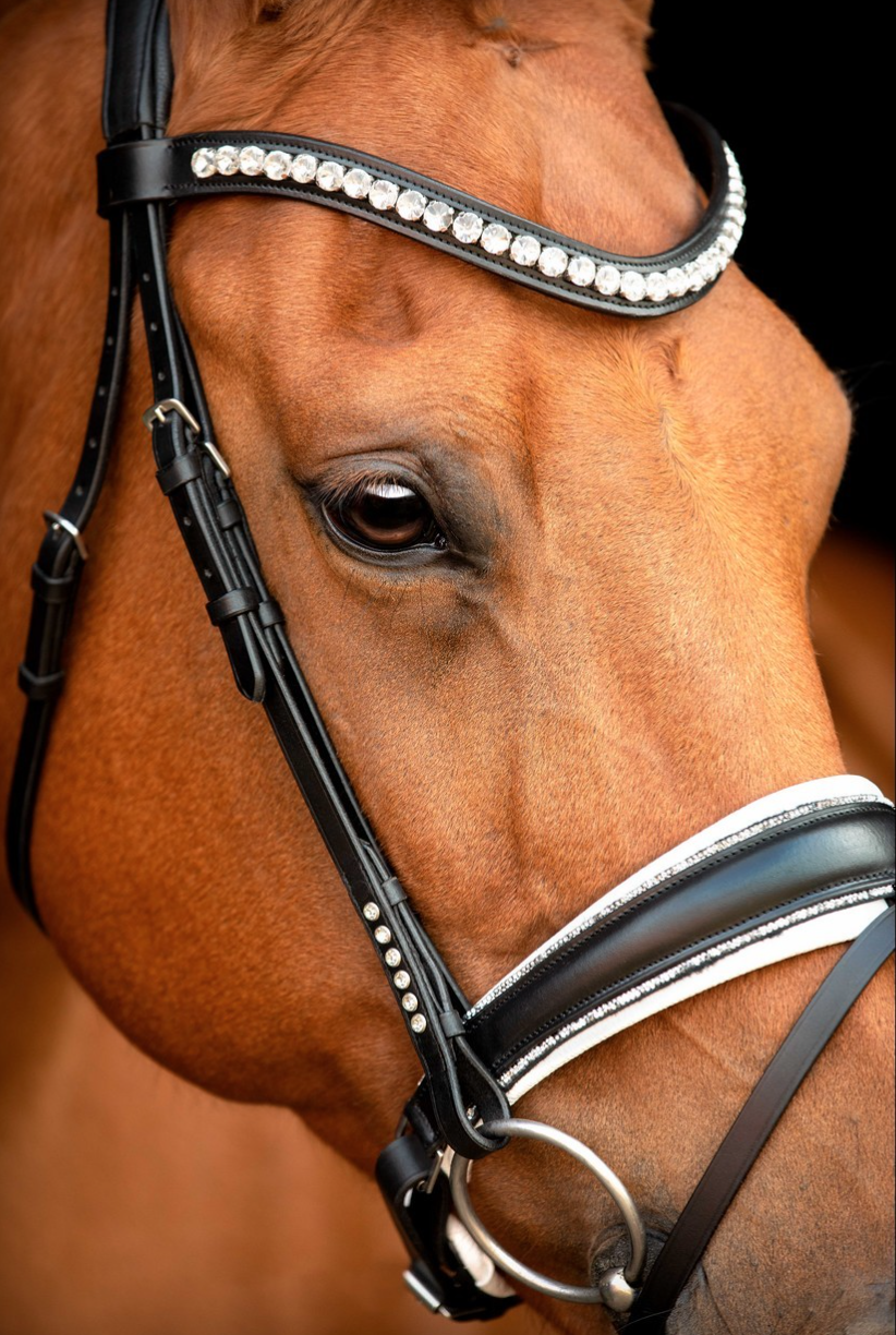 Capture d’écran 2026-03-01 à 22.51.15.png