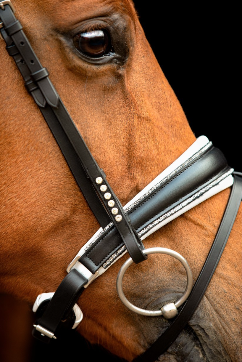 Capture d’écran 2026-03-01 à 22.50.56.png