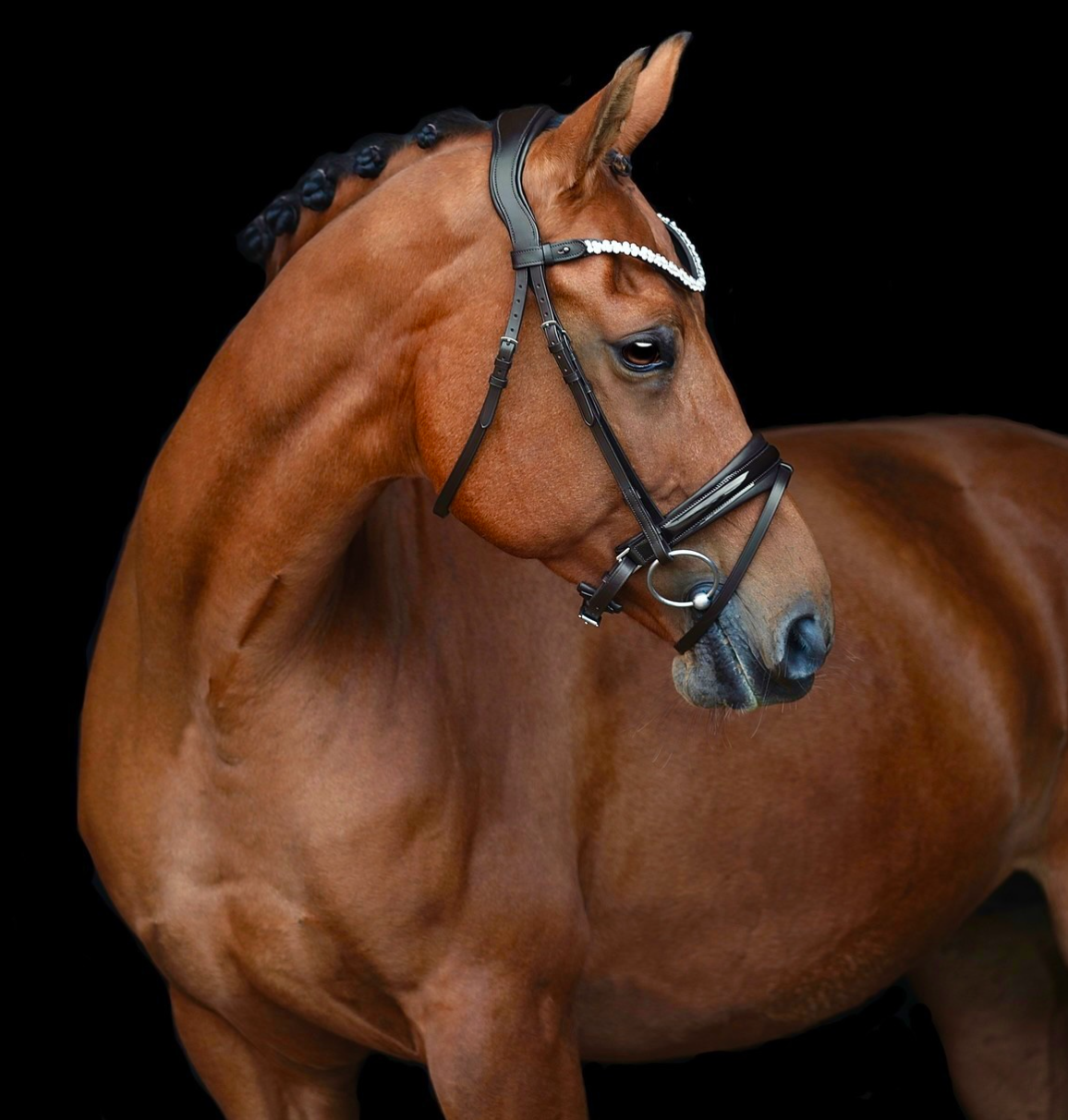 Capture d’écran 2026-03-01 à 23.19.20.png