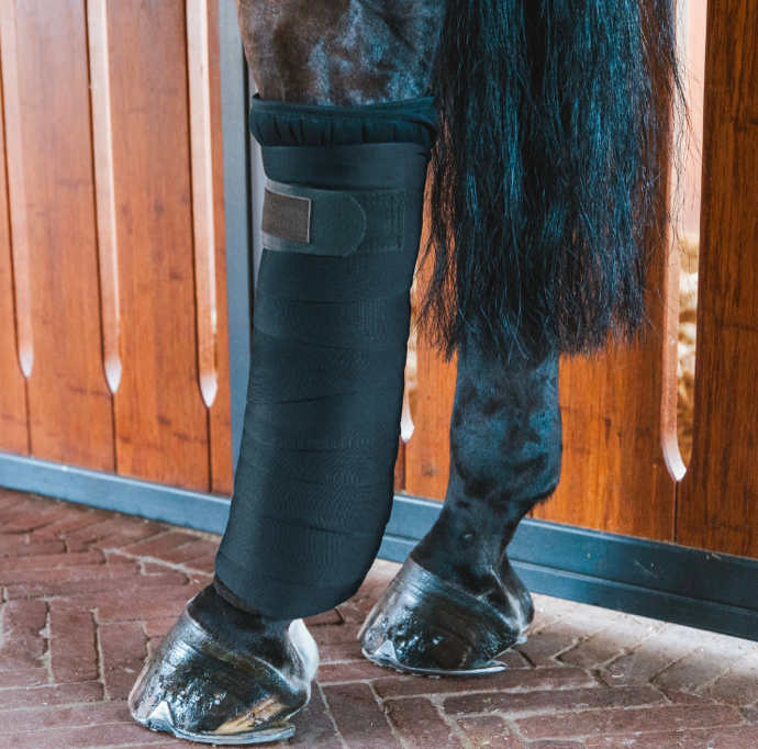 Capture d’écran 2026-03-01 à 22.03.27.png