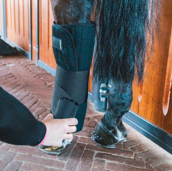 Capture d’écran 2026-03-01 à 22.02.37.png