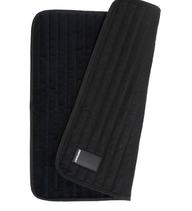 Cotons américains Kentucky