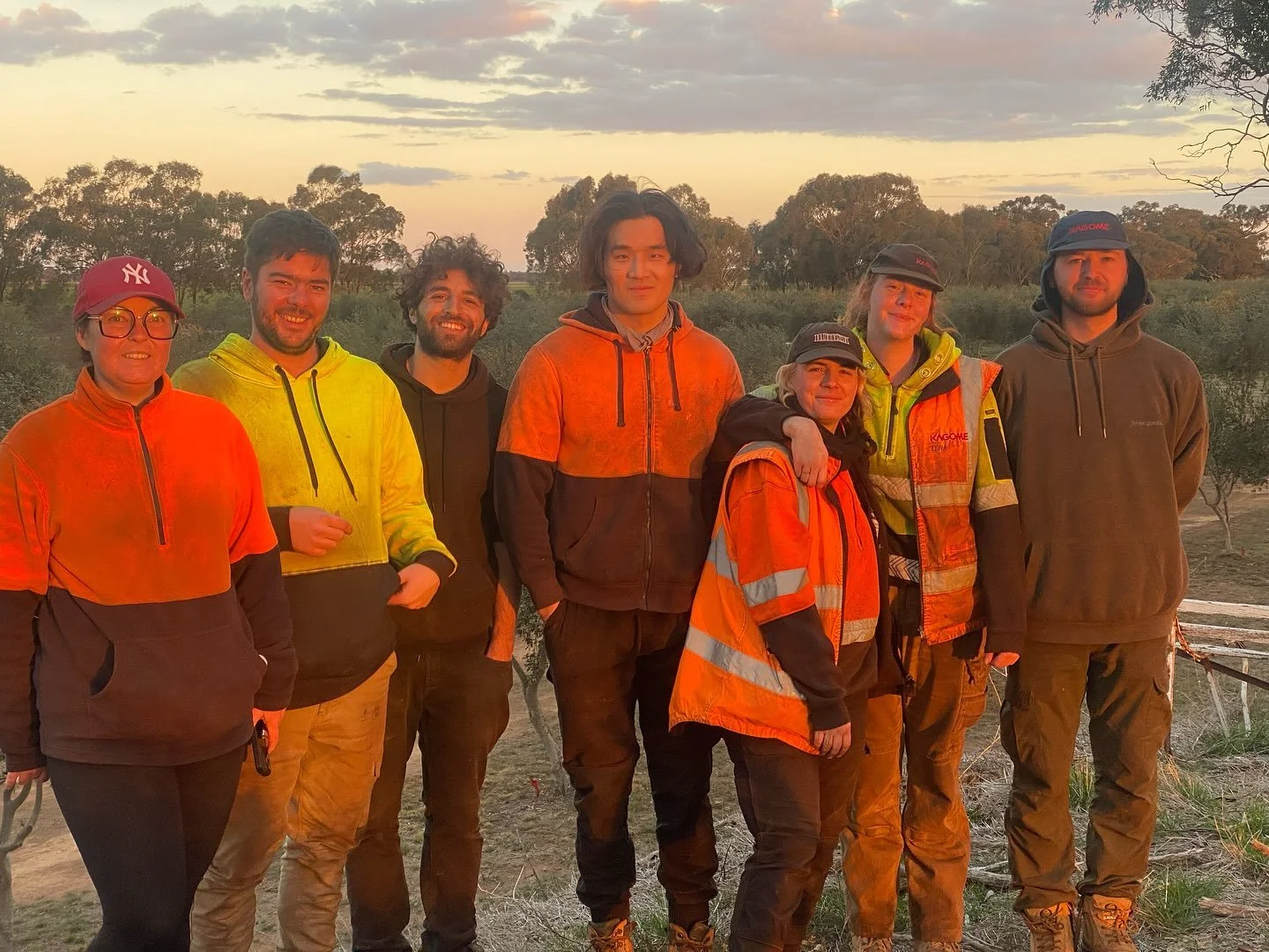 We are very appreciative of the young people that come to work in our olive grove, from France, Austria , South Korea and England. Love having you all here