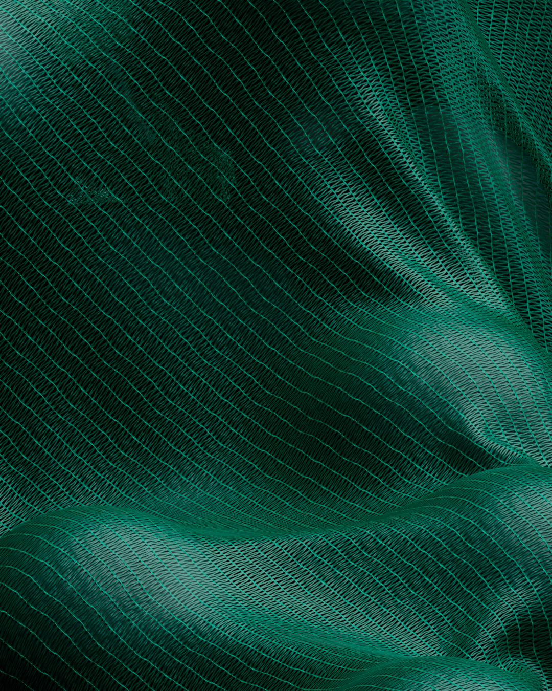 05.png