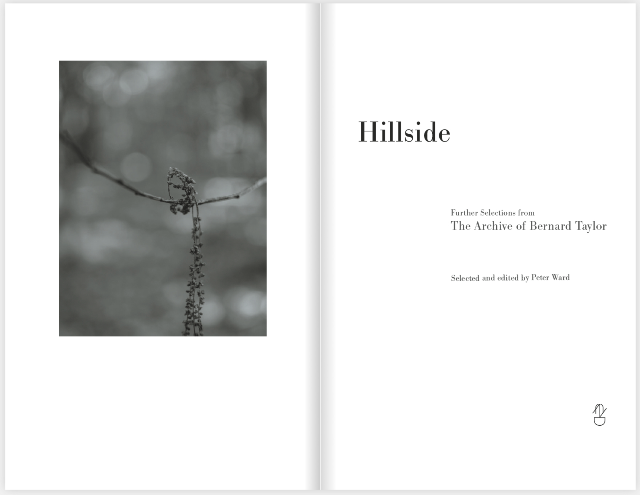 Hillside Spreads_2.png