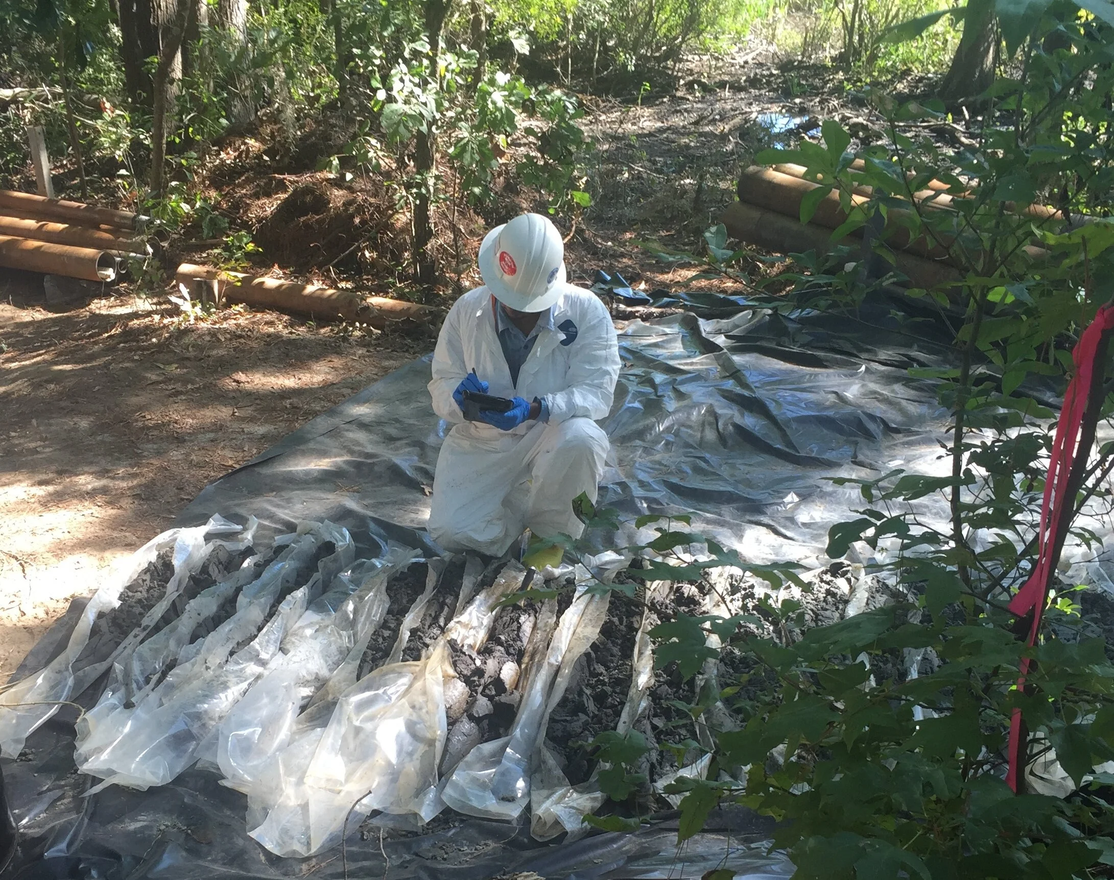 Sampling, 2015