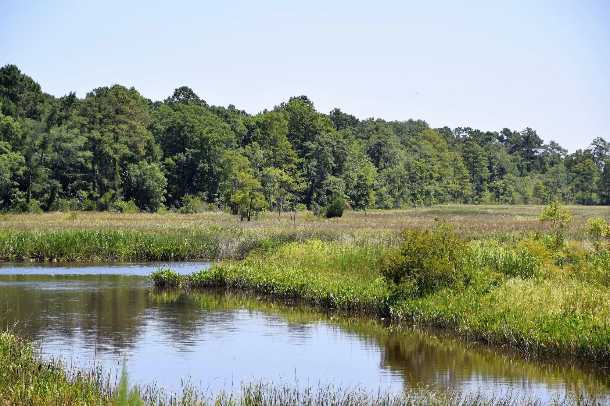 Projects to move forward at Navassa Superfund Site in coming months