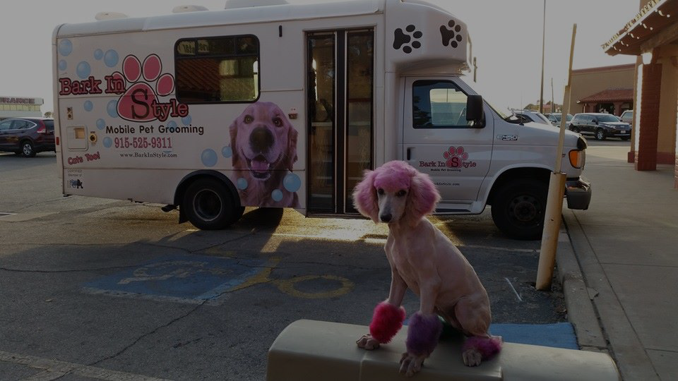 bark and brushes mobile grooming