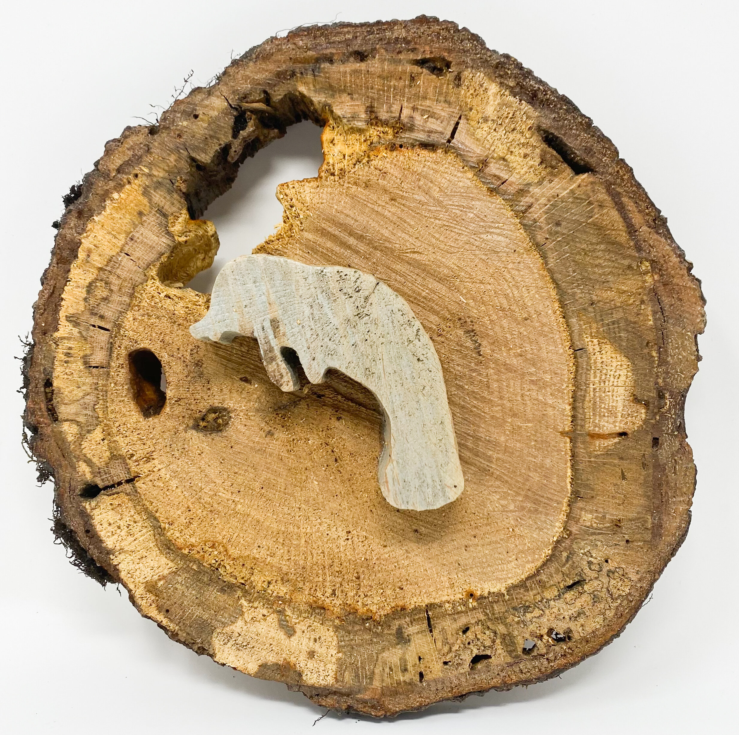 Manatee Log Slice 3D 1.jpg