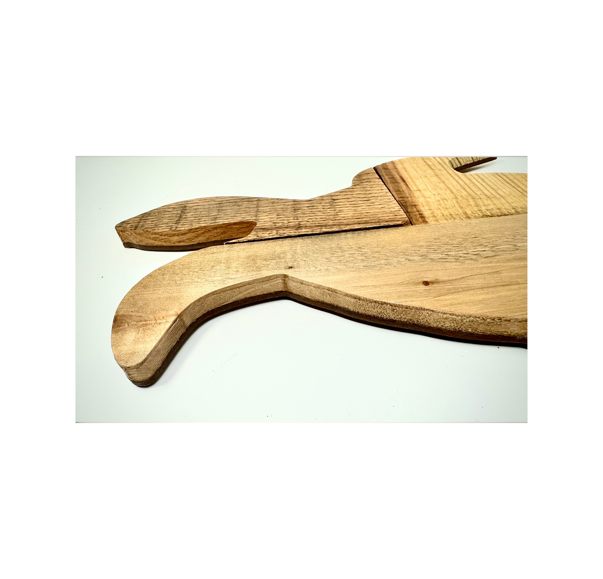 Turtle small (2).png