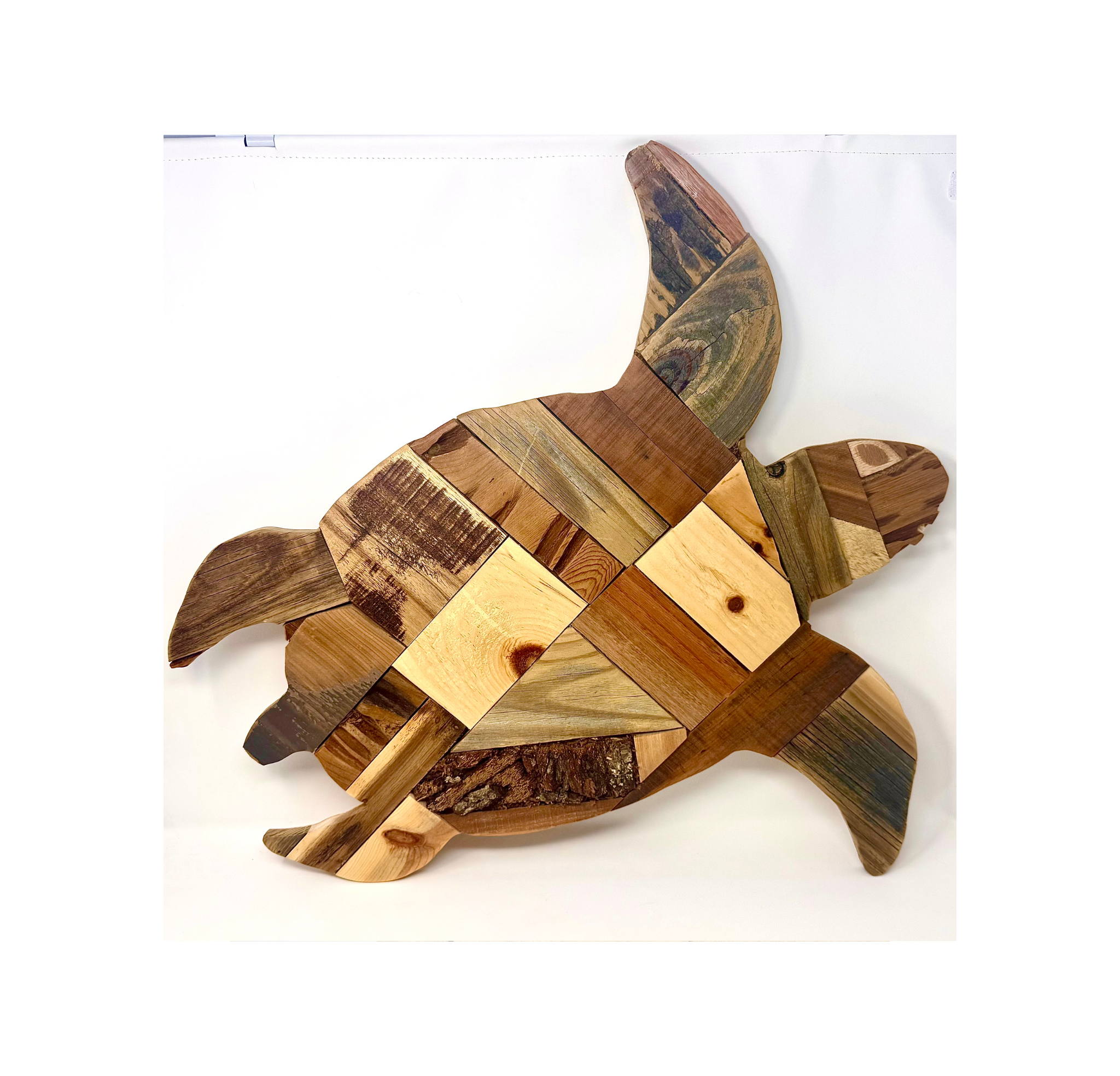 Turtle Large.png
