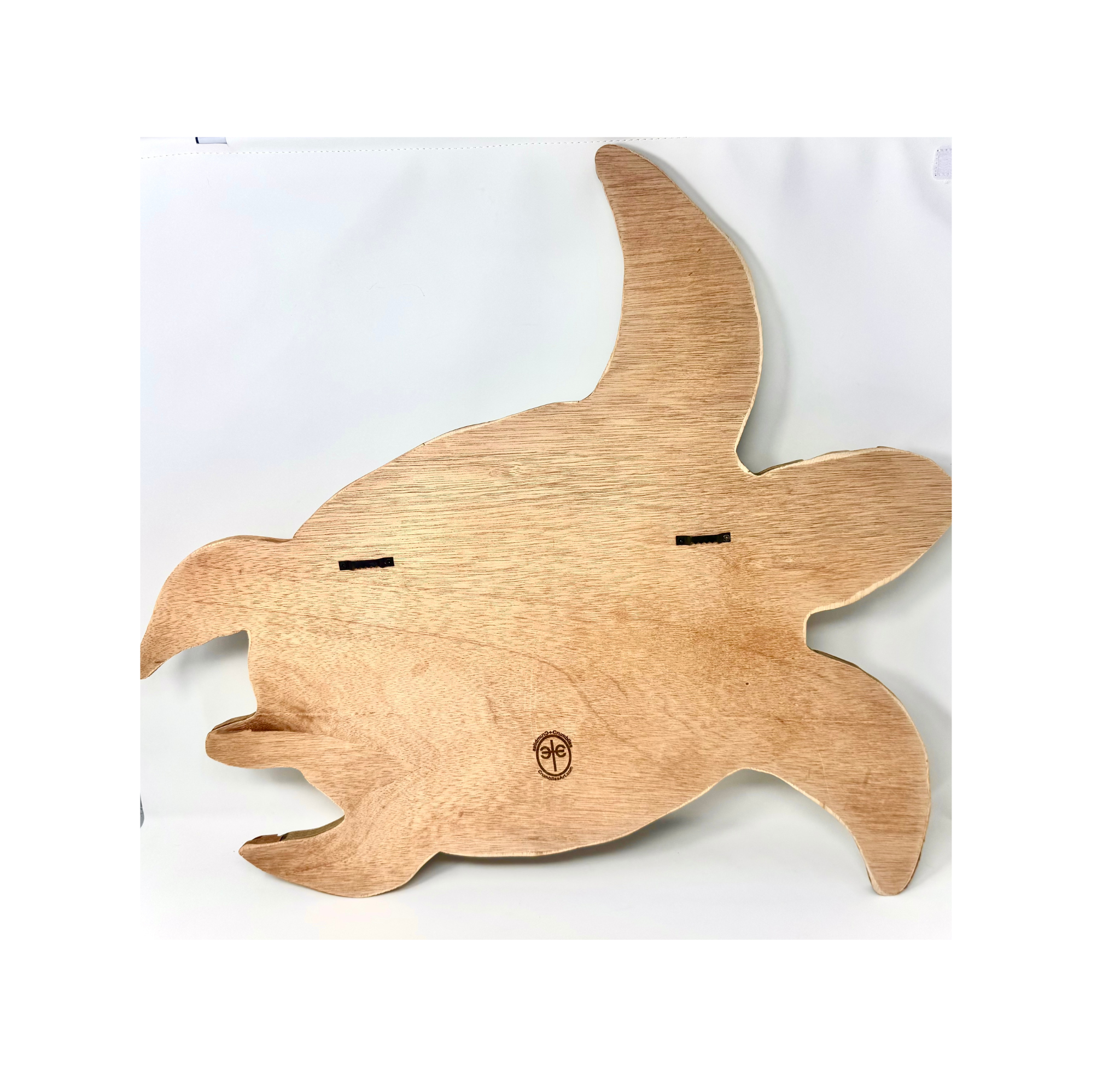 Turtle large (1).png