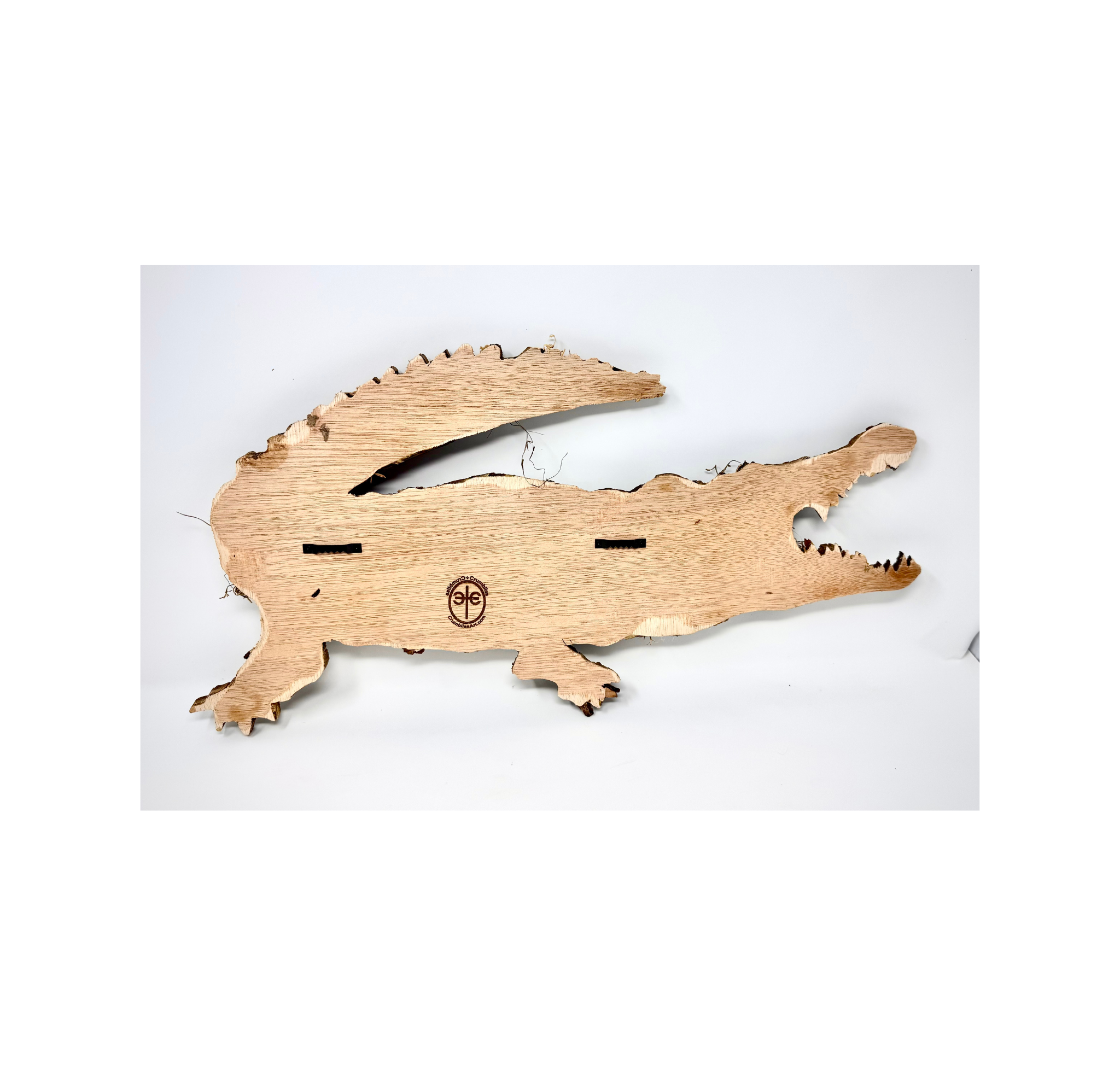 Gator (1).png