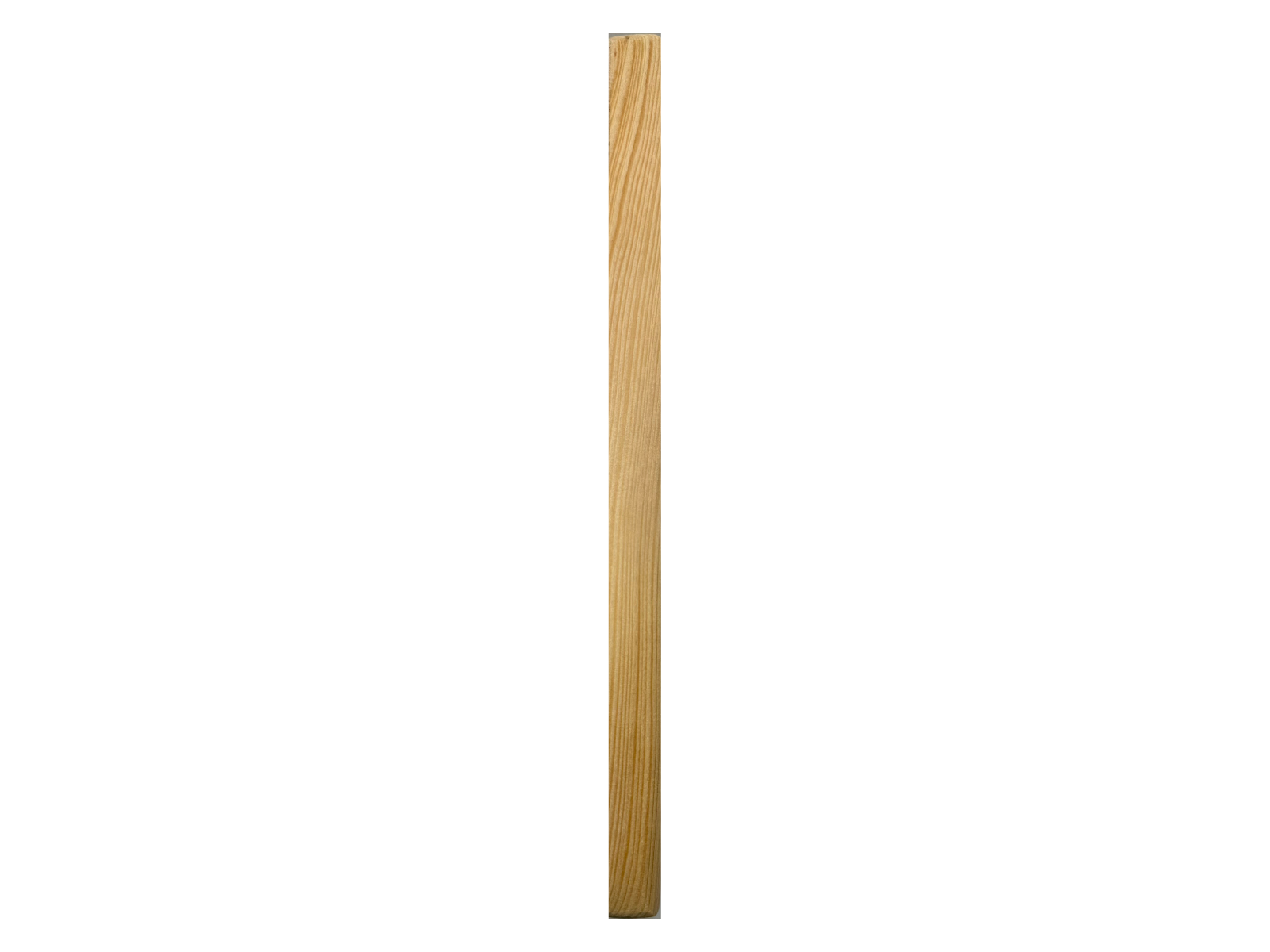 Fish1 side.png