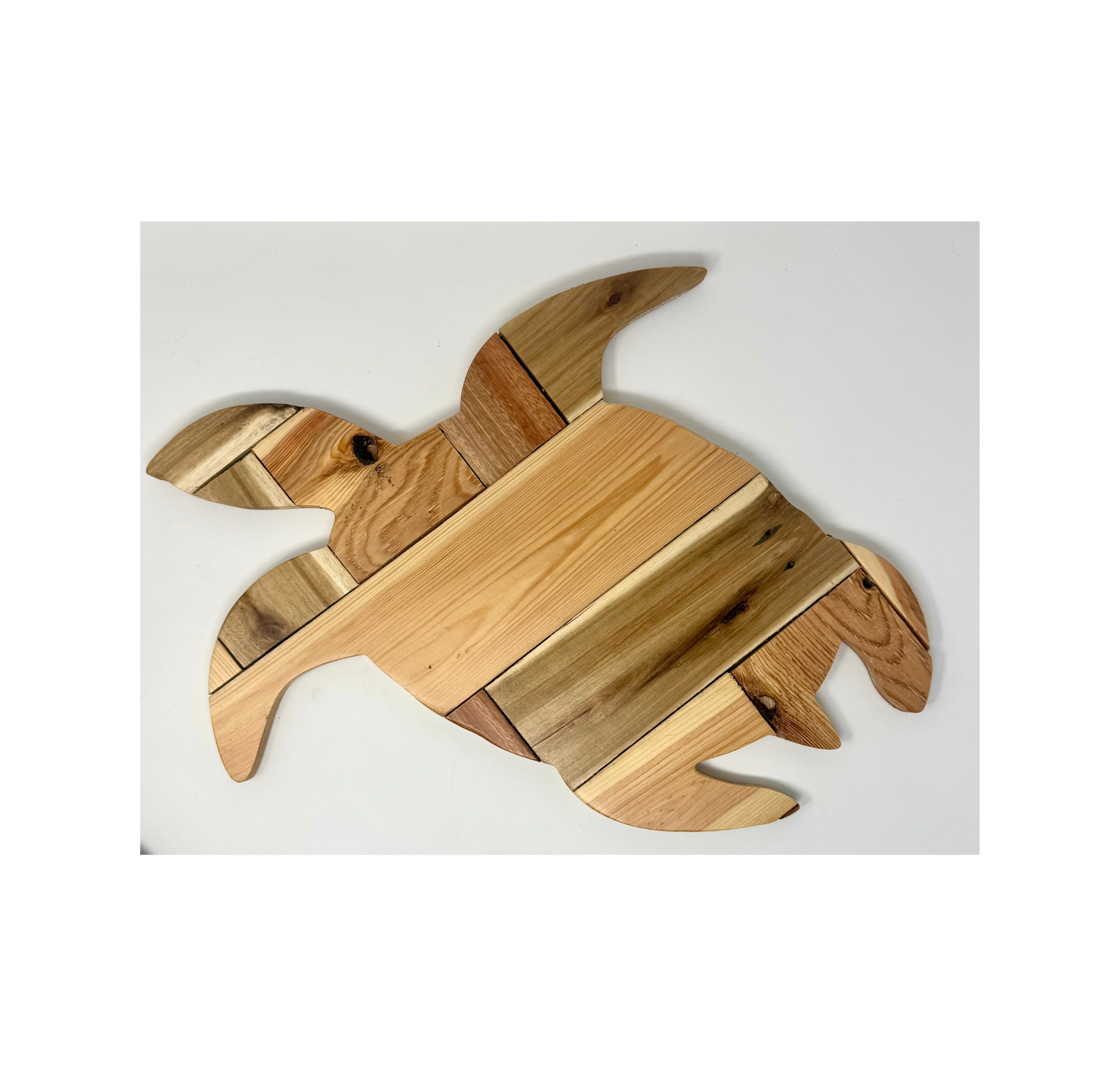 Turtle medium.png