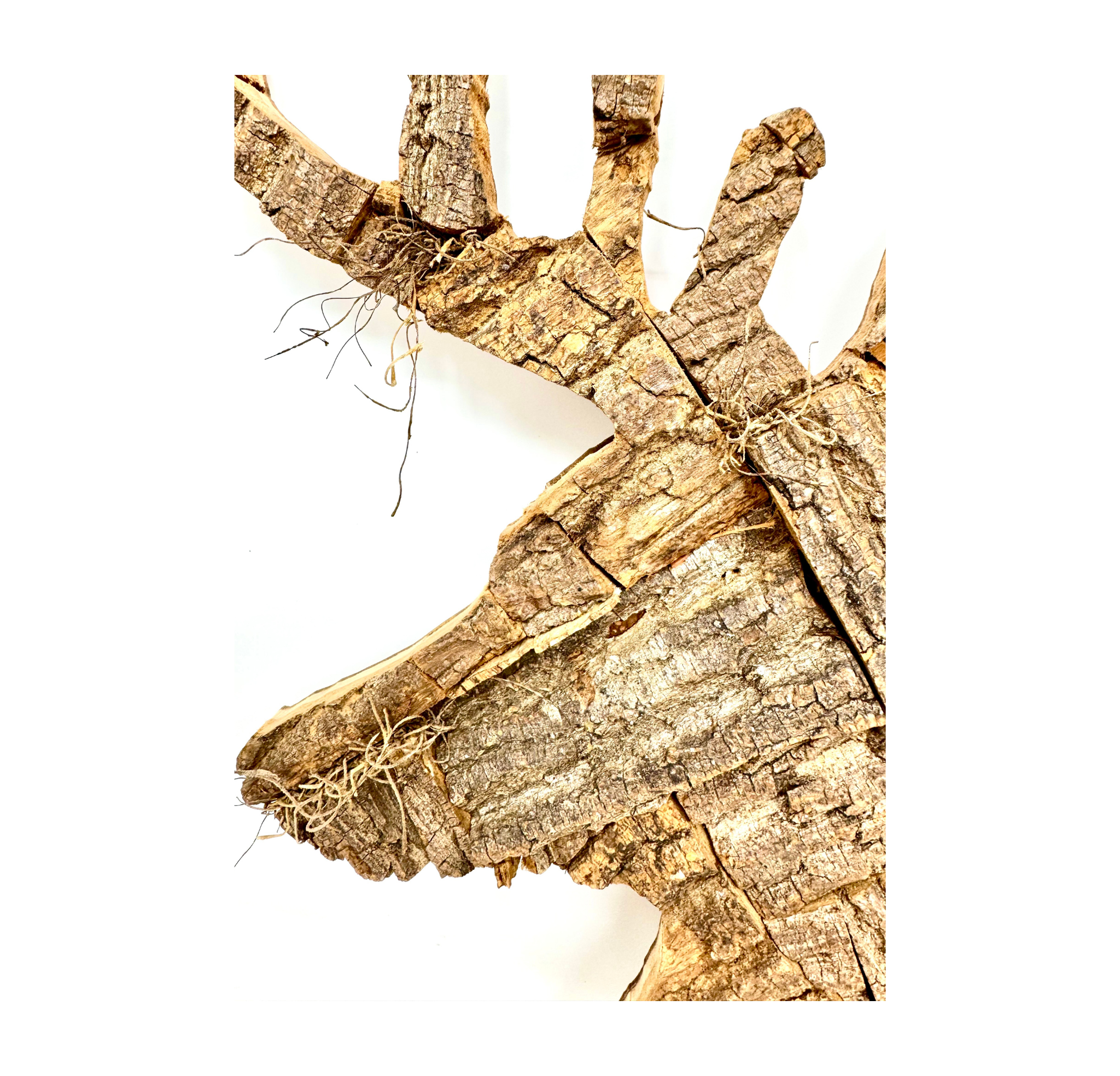 Deer3 (4).png