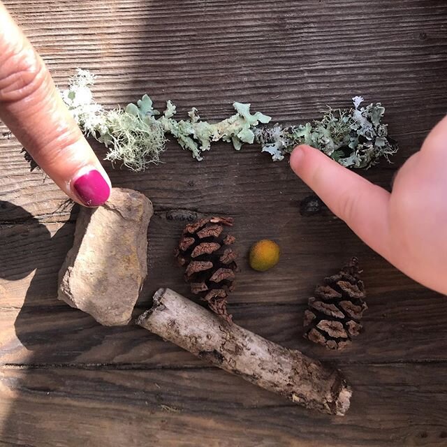 Engaging our senses. Outdoor time is a must! 🌿#naturekids  #homedaycare #oaklandbaby #berkeleybaby #bayareakids #childcare #kidsplay #rie #reggio #backyard #creativekids #happykids #bayareababy #berkeleyparents #oaklandparents #daycare #eastbaykids 