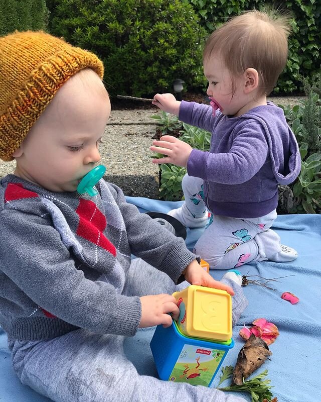 Little seeds growing!  #homedaycare #oaklandbaby #berkeleybaby #outdoorplay #bayareakids #childcare #kidsplay #rie #reggio #backyard #creativekids #happykids #bayareababy #berkeleyparents #oaklandparents #daycare #eastbaykids #happybabies #kidsatplay