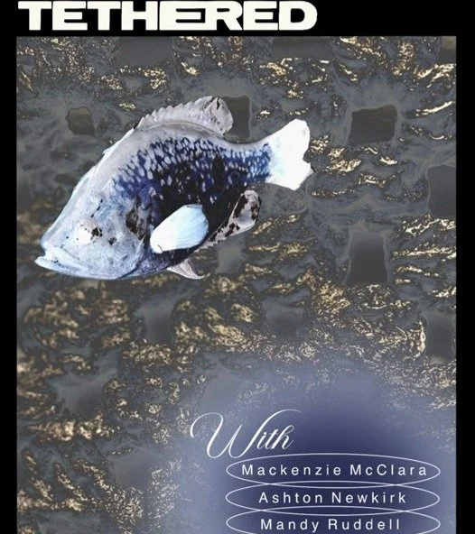 Herron Senior Thesis Show: TETHERED