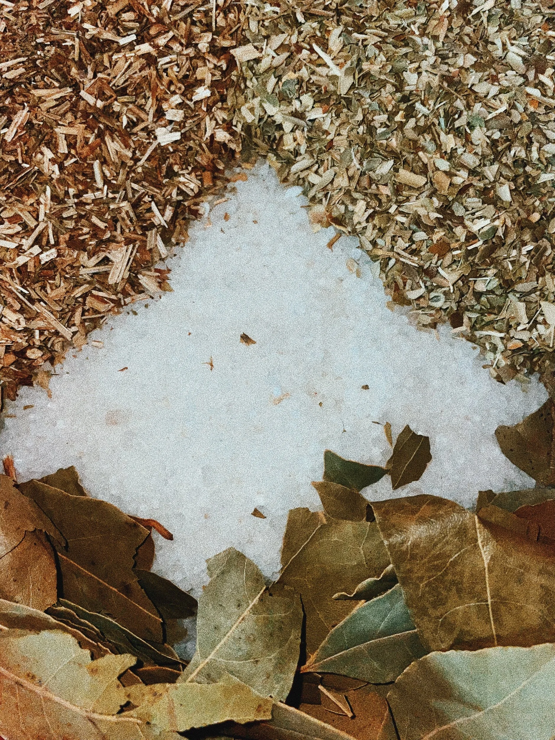 FEE5F18C-A39F-42B2-A7EC-6CCA2CB70A47